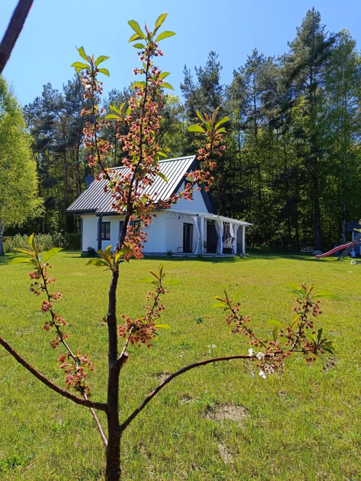 Jeszcze Bardziej Dziki Sad Villa Slajszewo Exteriör bild
